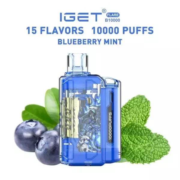 79.jpg IGET FLARE B10000 – Blueberry Mint | vape shop Mumbai